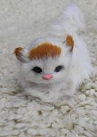 Кот из меха 3 во Кяхте